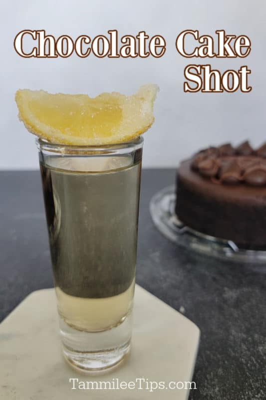 Chocolate Cake Shot Recipe: Shots of Chocolate Bliss